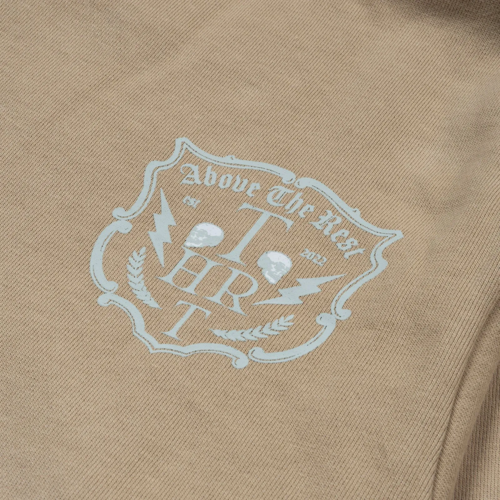 ABOVE THE REST MINERAL HOODIE - BROWN