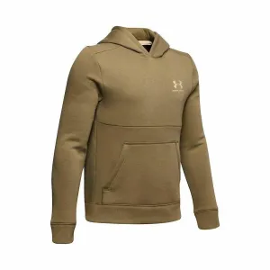 Under Armour Kids Cotton Fleece Hoody Green